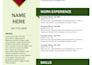 professional write your resume, CV, cover letter